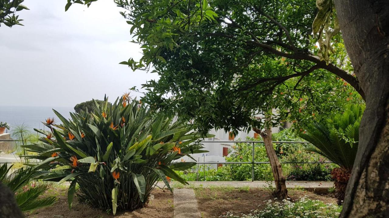 הוילה פוזיטנו Casa Anna מראה חיצוני תמונה