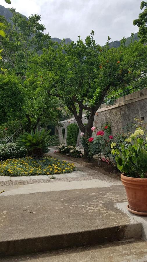 הוילה פוזיטנו Casa Anna מראה חיצוני תמונה